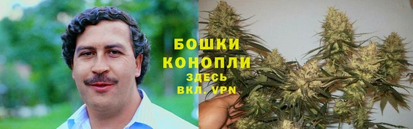 молекула духа Каменск-Шахтинский