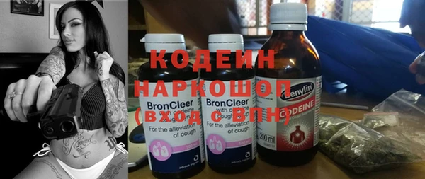 молекула духа Каменск-Шахтинский