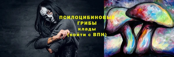 молекула духа Каменск-Шахтинский