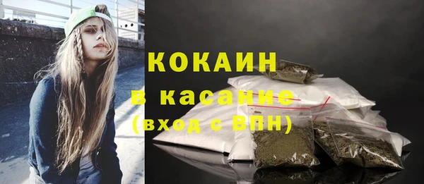 2c-b Каменка