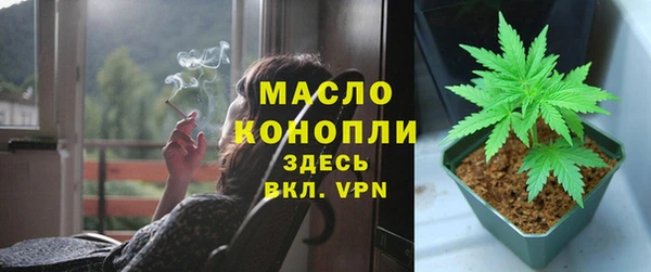 молекула духа Каменск-Шахтинский