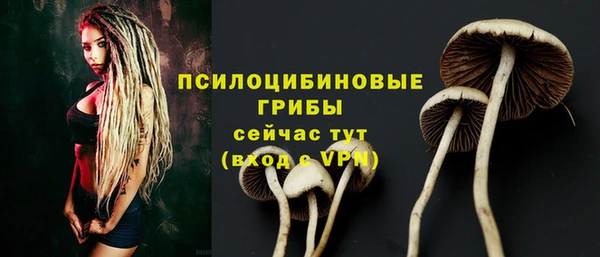 альфа пвп VHQ Каменногорск