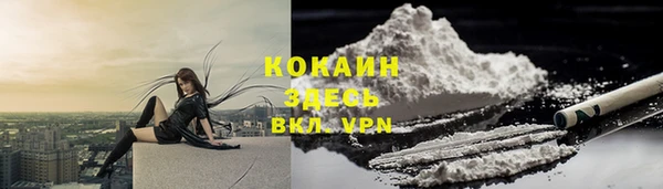2c-b Каменка
