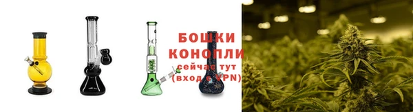 2c-b Каменка