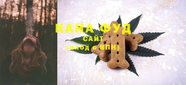 молекула духа Каменск-Шахтинский