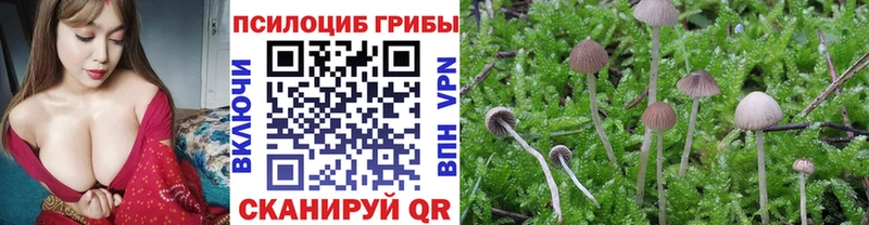Купить  Шумиха  Галлюциногенные грибы ЛСД 